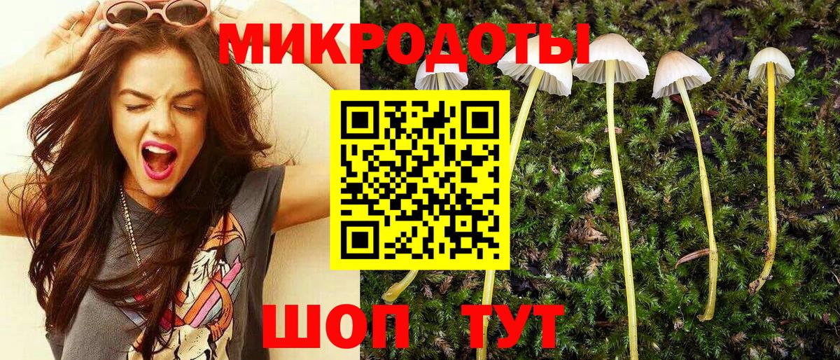 Псилоцибиновые грибы мицелий  Вход с VPN  Ялуторовск 