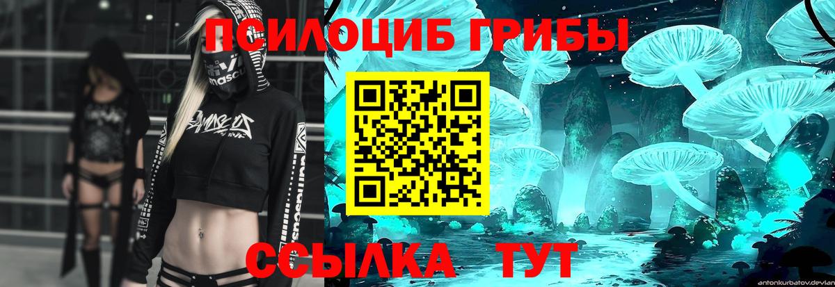 Галлюциногенные грибы GOLDEN TEACHER Ялуторовск